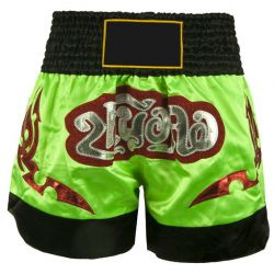 Kick Boxing Shorts